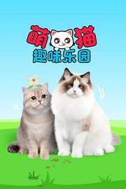 萌猫趣味乐园