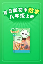 新课标青岛版初中数学八年级上册