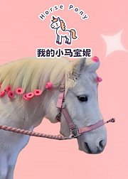 我的小马宝妮