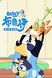 布鲁伊第2季英文版