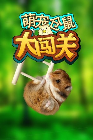 萌宠仓鼠大闯关