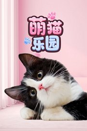 萌猫乐园