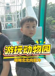 晞晞北北向前冲