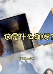 小叶钱钱的2025年合集1