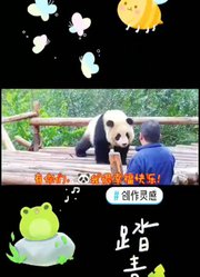 踏青赏春