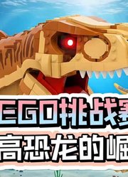 欢迎来到我的LEGO游戏世界
