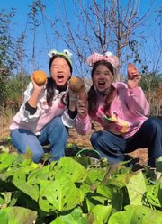 好媳妇厨房的2026年合集