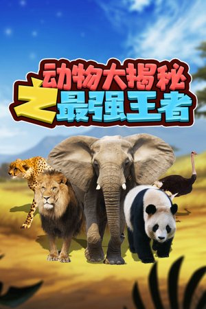 动物大揭秘之最强王者