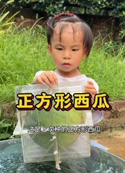 大茉公主的2025年合集1