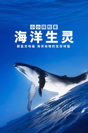 海洋生灵：蔚蓝交响曲