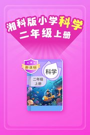 新课标湘科版小学科学二年级上册
