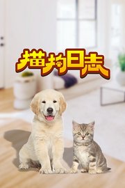 猫狗日志