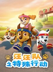 汪汪队之特殊行动