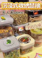 暴走的朵拉i的2026年合集