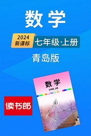 2024新课标数学七年级上册青岛版