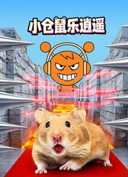 小仓鼠乐逍遥