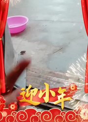 人物特写