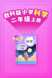 新课标教科版小学科学二年级上册