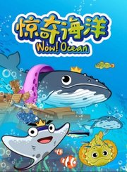惊奇海洋