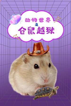 动物世界之仓鼠越狱