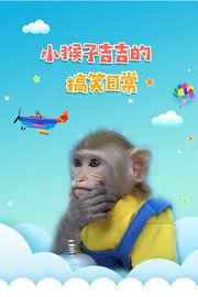 小猴子吉吉的搞笑日常
