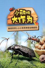 微观世界2：小动物·大作为
