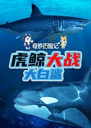 奇妙历险记：虎鲸大战大白鲨