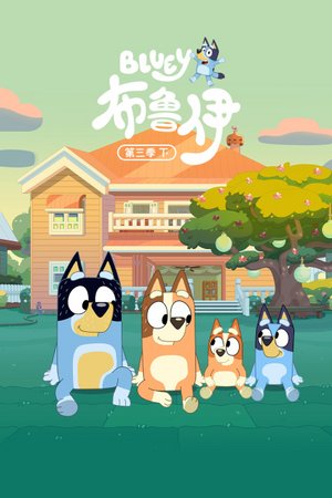 布鲁伊第3季（下）