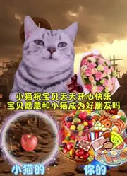 头圆圆星球科普的2026年合集3
