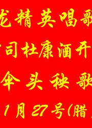 《五龙精英唱歌群》有有公司杜康酒开业庆典