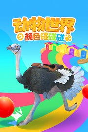 动物世界之颜色碰碰碰