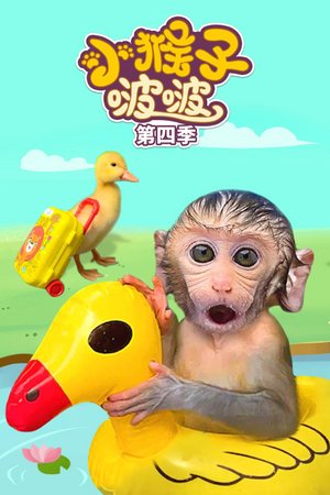 小猴子啵啵第4季