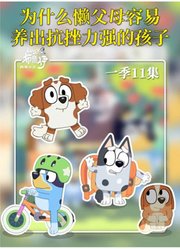 康康爱动画-的2026年合集1