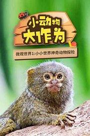 微观世界小动物大作为