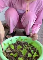 唐三游戏君的2024年合集1
