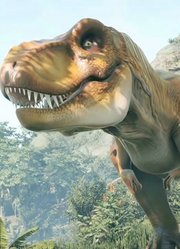 小睿天天玩的2022年合集