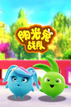 阳光兔战队
