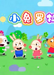 小兔罗拉