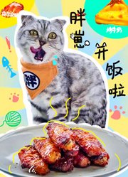 胖崽开饭啦