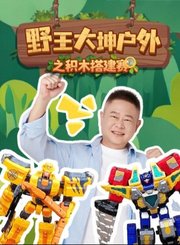 野王大坤户外之积木搭建赛