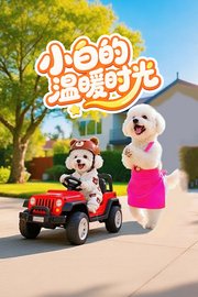 小白的温暖时光