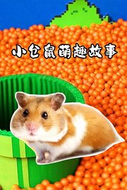 小仓鼠萌趣故事