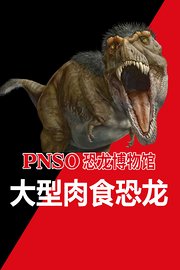 PNSO恐龙博物馆-大型肉食恐龙