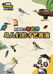 熊猫博士看世界：鸟儿们的才艺表演