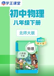 2025新改版北师大版初中物理八年级下册