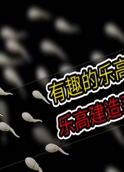 乐高建造