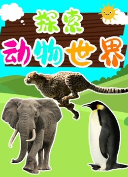 探索动物世界