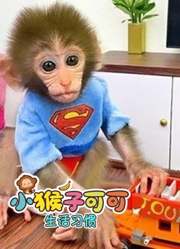 小猴子可可生活习惯