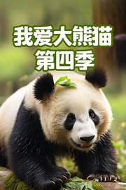 我爱大熊猫第4季