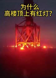 泡泡启蒙动画3的2026年合集